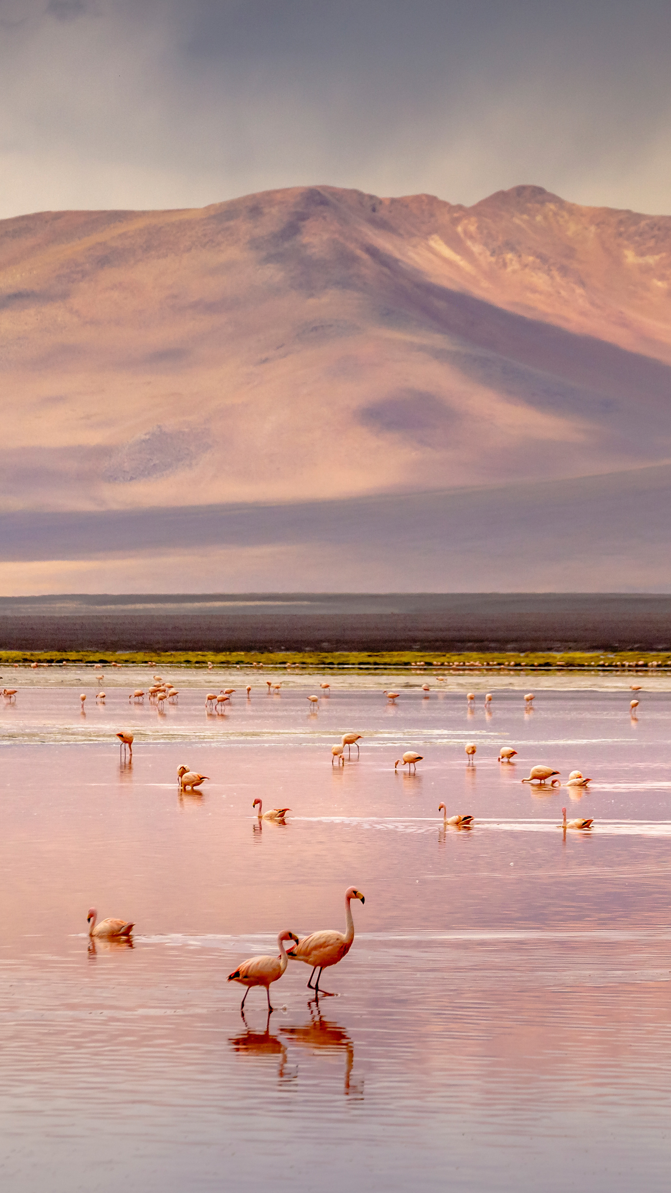 Chile and Bolivia: Atacama to Uyuni Salt Flats